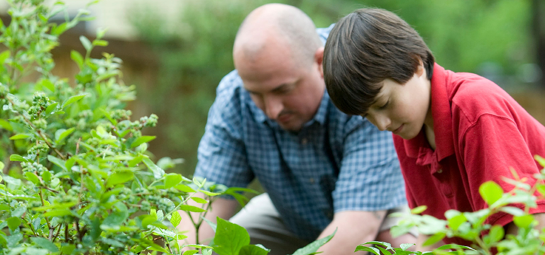 Image of an older gentleman and a young boy gardening together